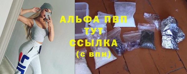 ПСИЛОЦИБИНОВЫЕ ГРИБЫ Карпинск