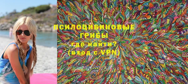 ПСИЛОЦИБИНОВЫЕ ГРИБЫ Карпинск