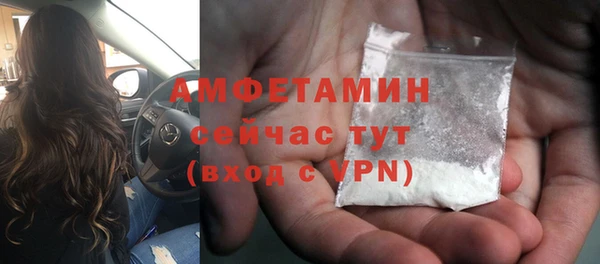 ПСИЛОЦИБИНОВЫЕ ГРИБЫ Карпинск